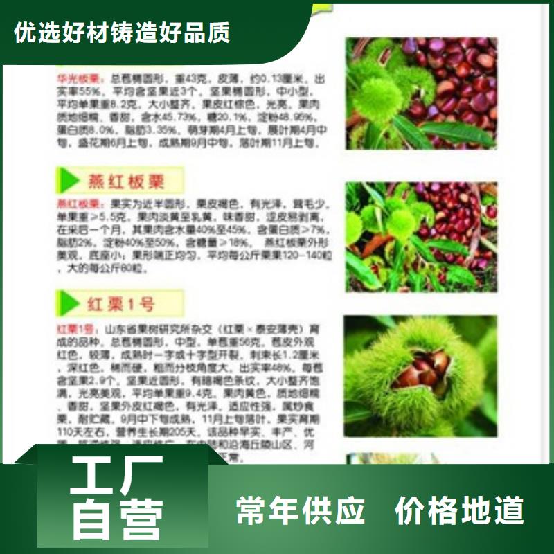 板栗苗_桃樹(shù)苗好品質(zhì)經(jīng)得住考驗(yàn)