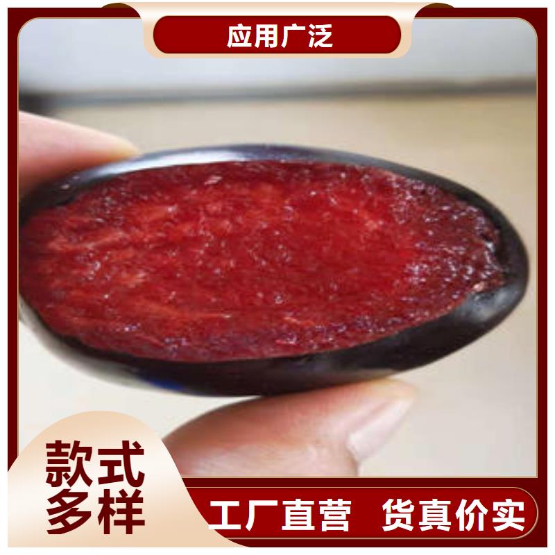 李子苗桃树苗闪电发货