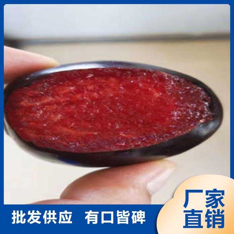 李子苗梨樹(shù)苗質(zhì)量三包
