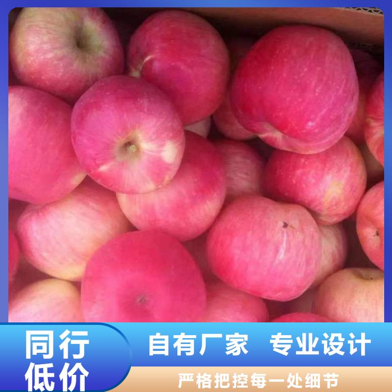 蘋(píng)果苗,花椒苗一站式采購(gòu)商家
