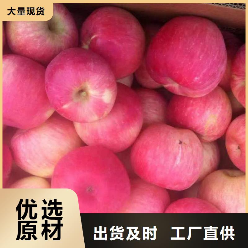 蘋果苗核桃苗精挑細選好貨