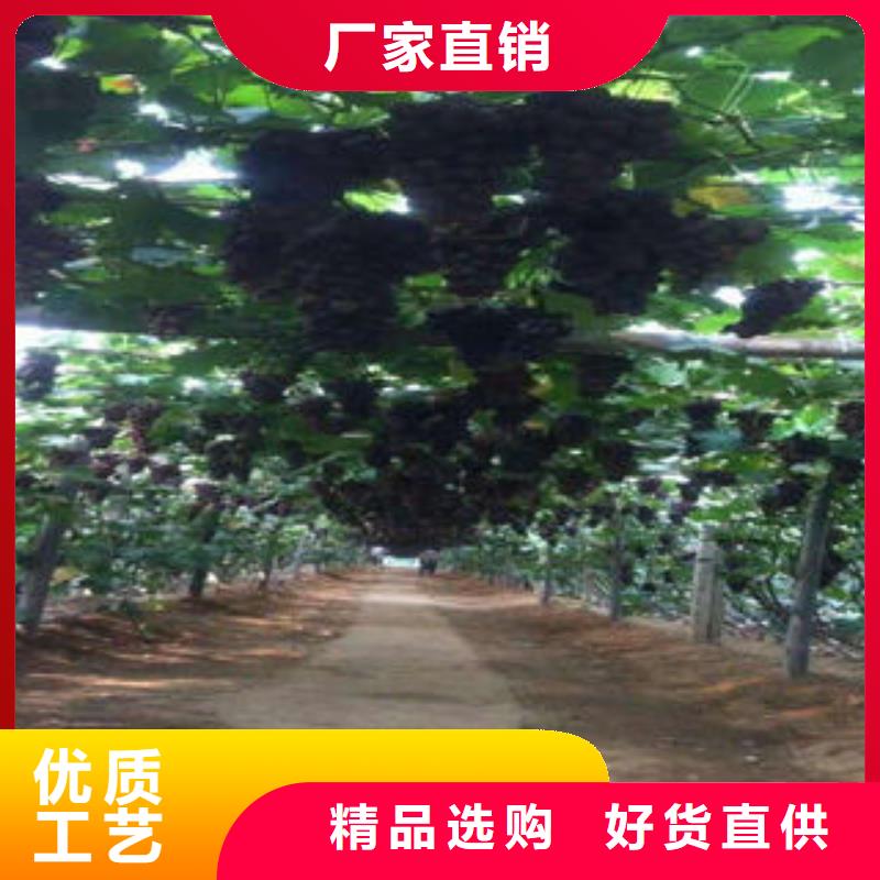 葡萄苗山楂苗適用場(chǎng)景