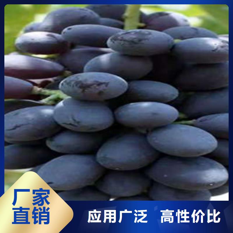 葡萄苗山楂苗適用場(chǎng)景