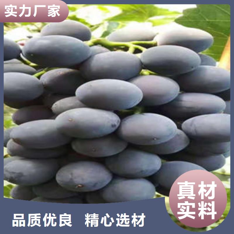 葡萄苗山楂苗適用場(chǎng)景