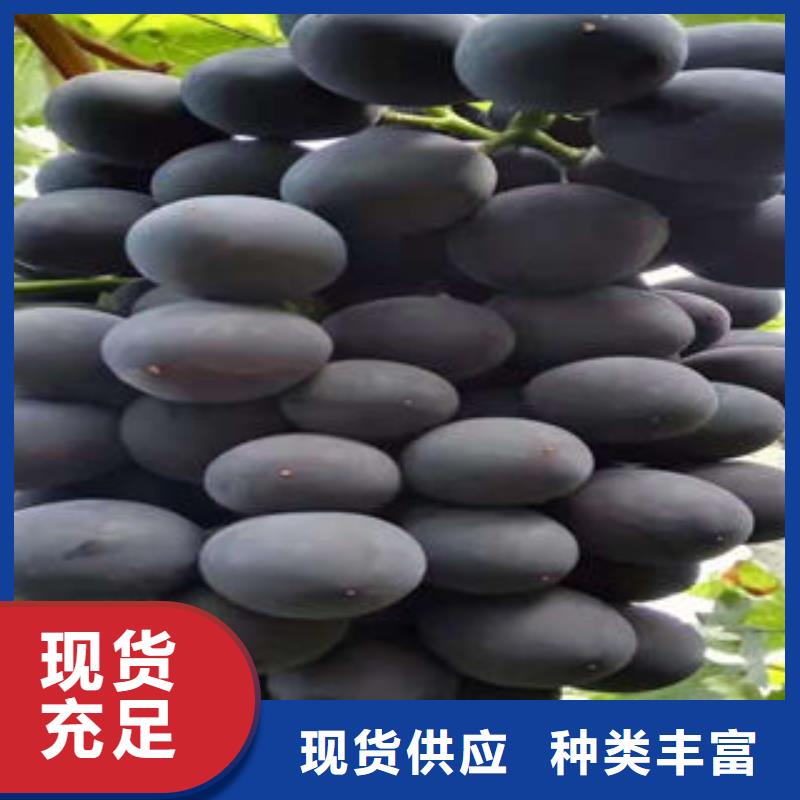 葡萄苗山楂苗适用场景
