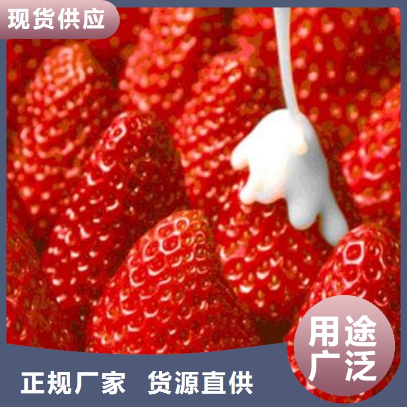 草莓苗李子苗多年行業(yè)經(jīng)驗