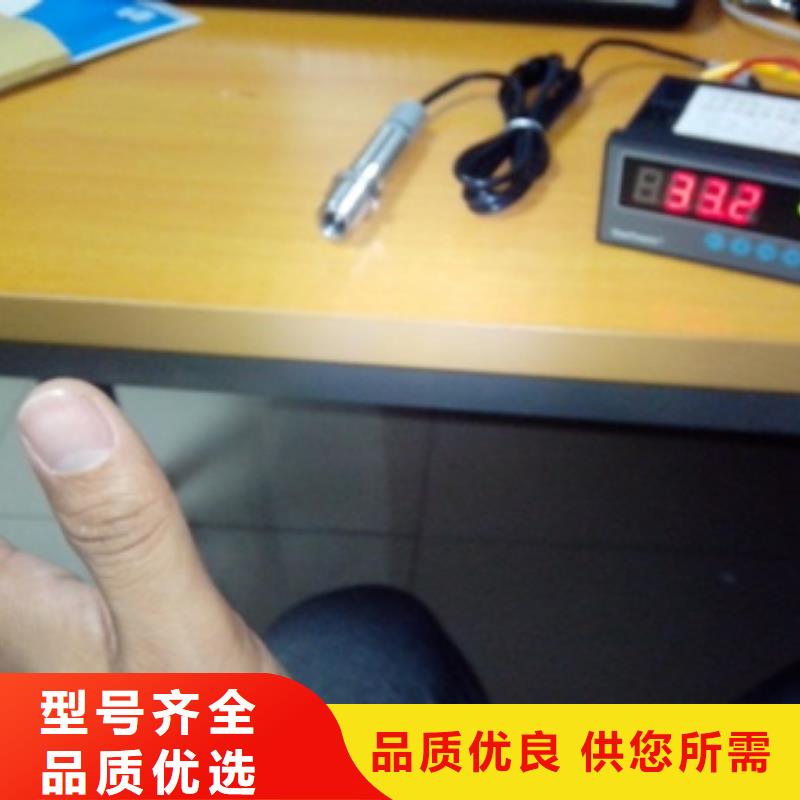 IRTP300L,红外探头严格把控质量