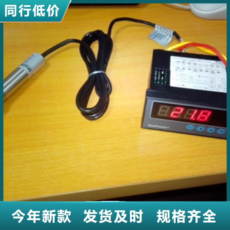 IRTP300L金屬管浮子流量計(jì)來圖加工定制