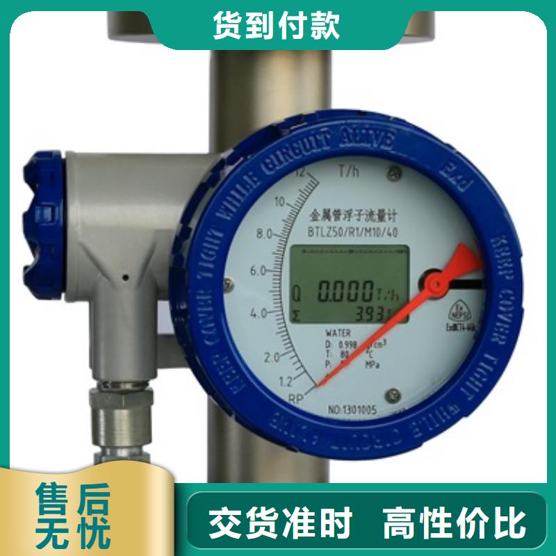 內襯PTFE金屬轉子流量計,金屬轉子流量計追求品質