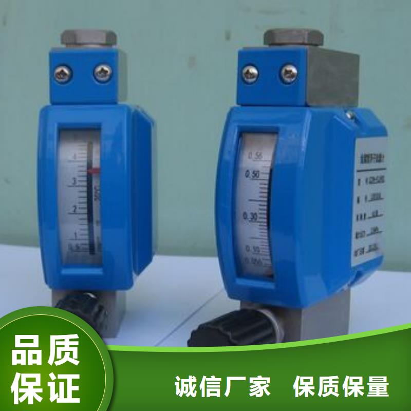 金屬浮子流量計高壓吹掃裝置用心服務