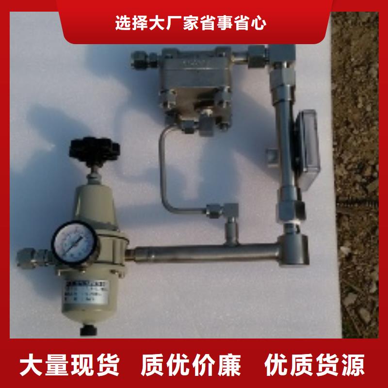 【吹掃裝置】-金屬轉(zhuǎn)子流量計嚴謹工藝