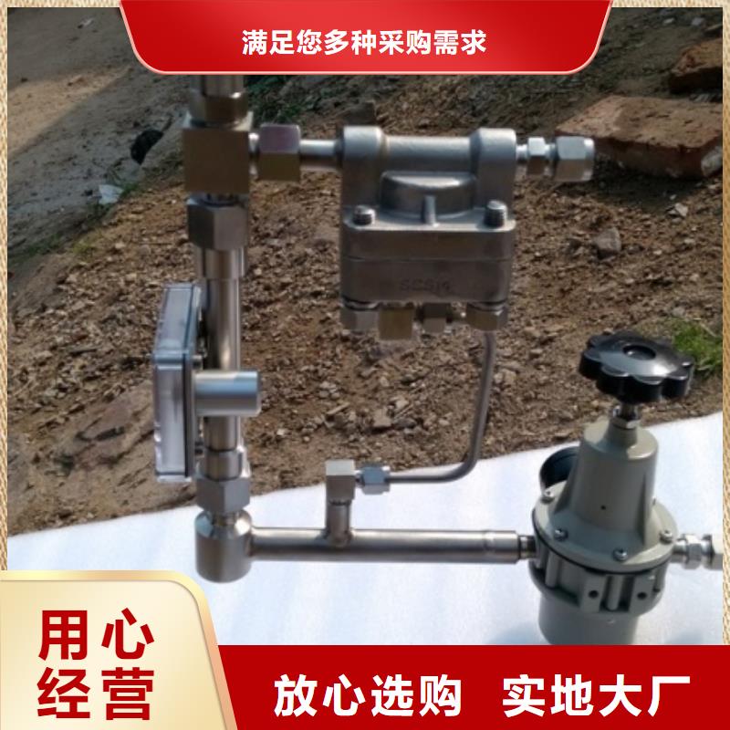 吹扫装置微小流量计规格齐全实力厂家
