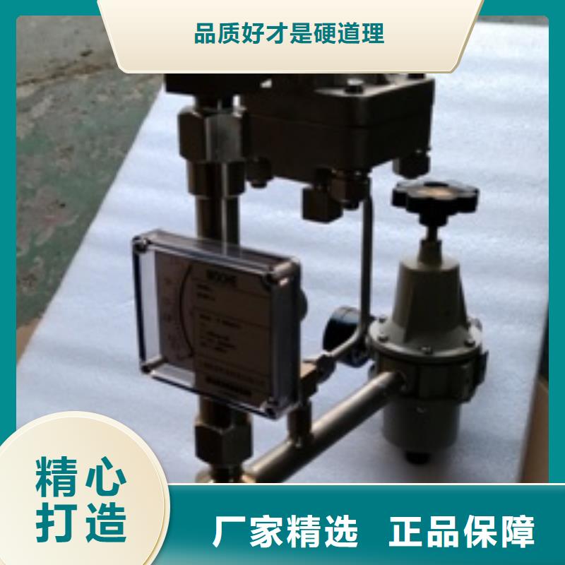 吹扫装置微小流量计规格齐全实力厂家