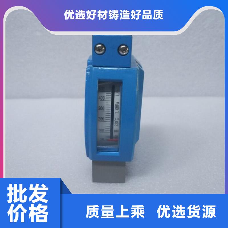微小流量计吹扫装置厂家直营
