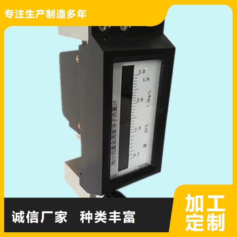 微小流量计吹扫装置厂家直营