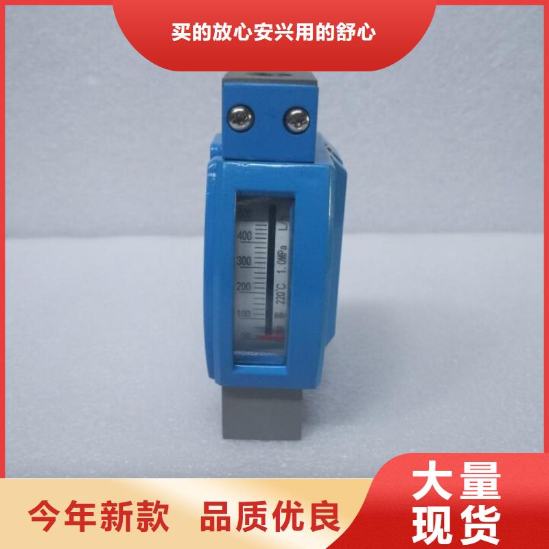 微小流量计吹扫装置厂家直营