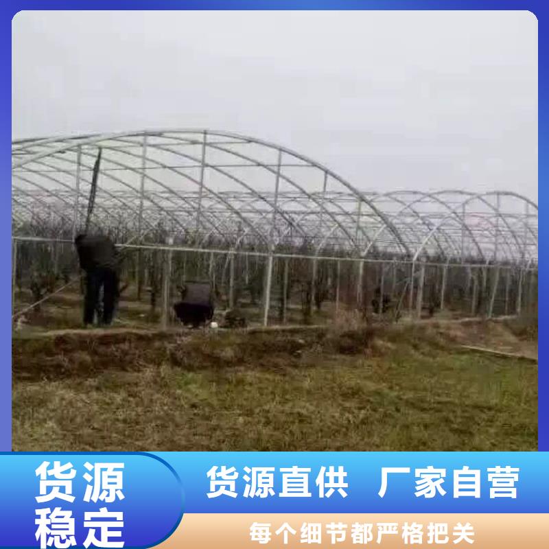 镀锌管材,热镀锌槽钢就近发货