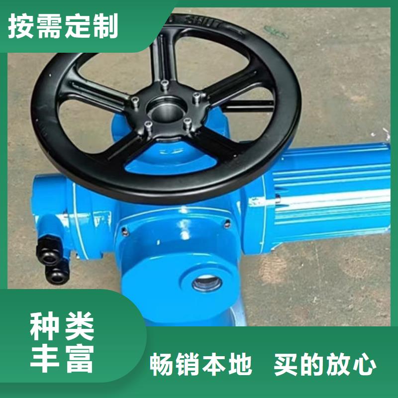 螺桿式啟閉機(jī)QDA電裝啟閉機(jī)工廠批發(fā)
