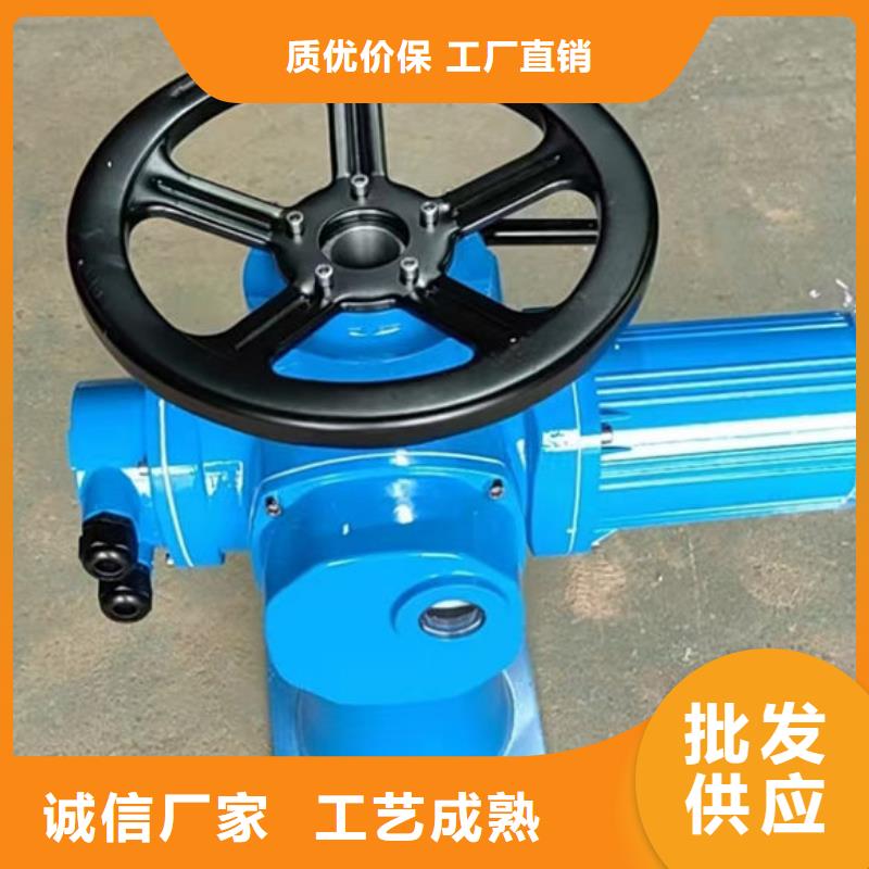 螺杆式启闭机,手动启闭机厂家经验丰富
