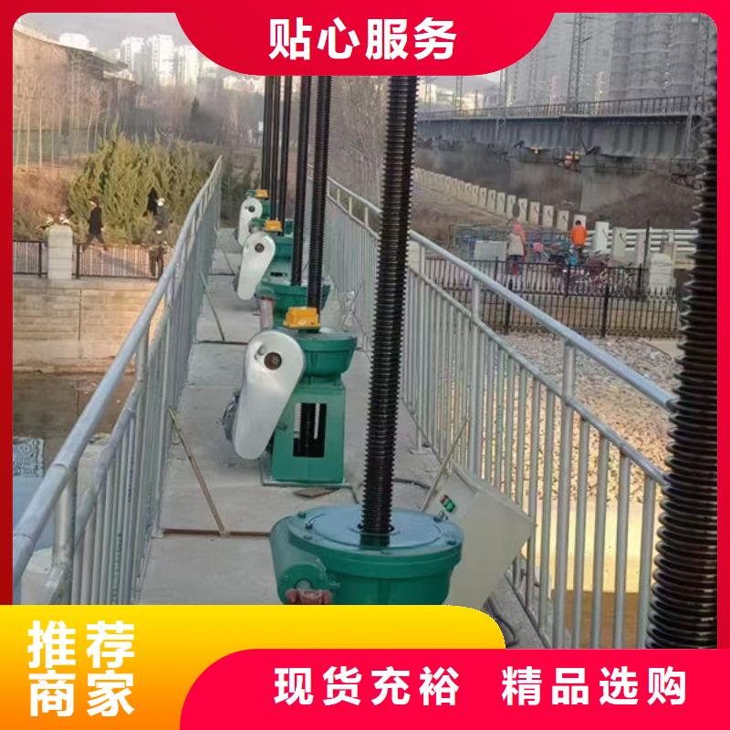 螺杆式启闭机_平推启闭机有实力有经验