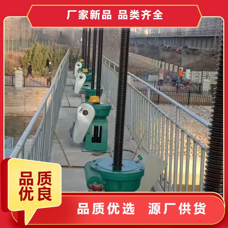 螺桿式啟閉機(jī)搖擺式啟閉機(jī)按需定制