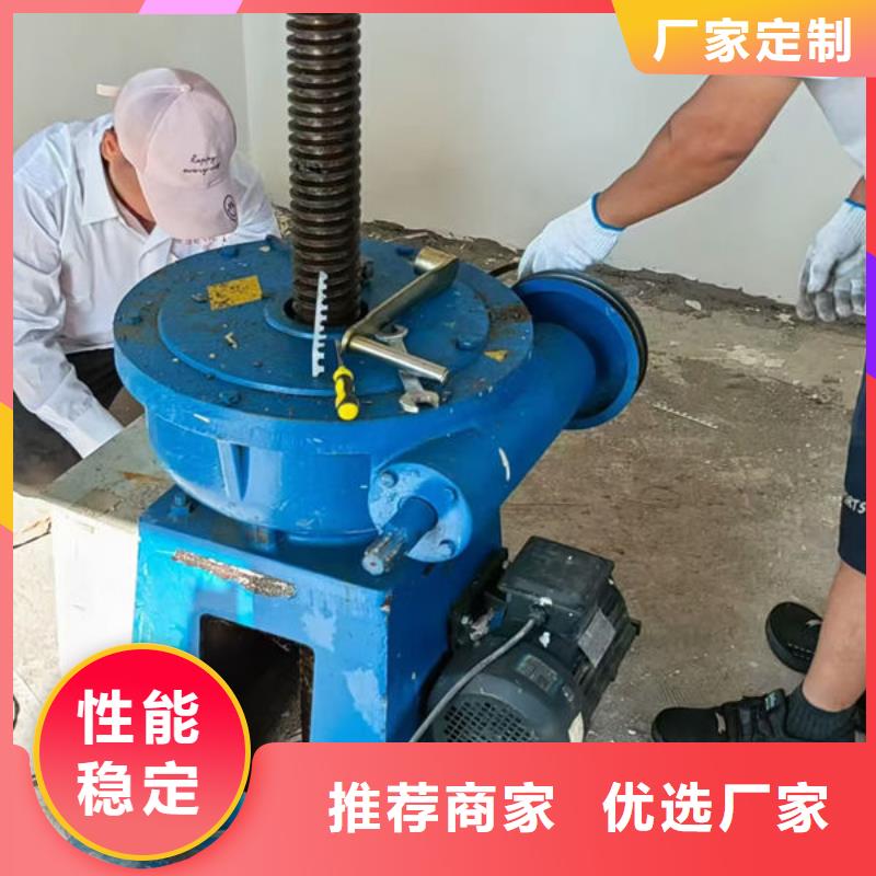 螺杆式启闭机,手电两用启闭机支持非标定制