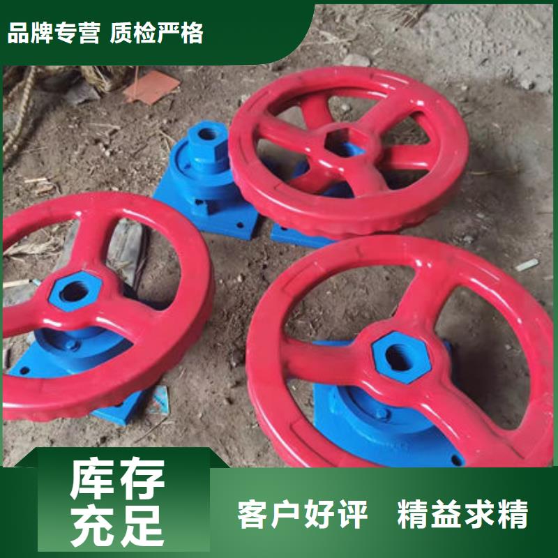 螺桿式啟閉機(jī)側(cè)搖啟閉機(jī)好廠家有擔(dān)當(dāng)