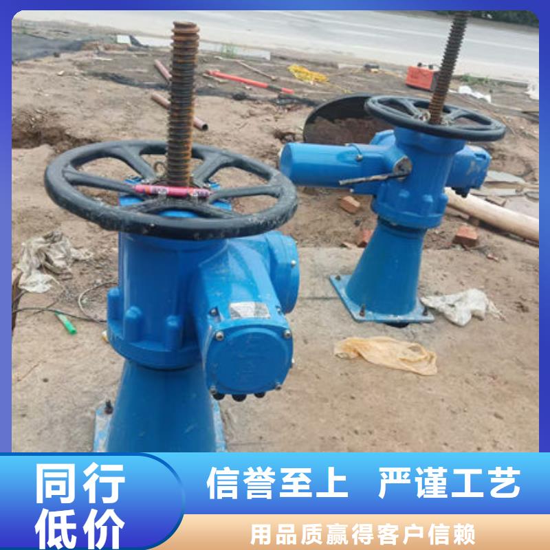 螺桿式啟閉機(jī)-手電兩用啟閉機(jī)工期短發(fā)貨快