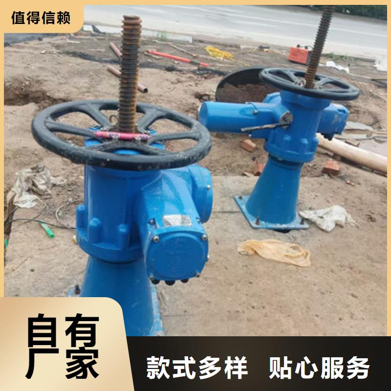 螺杆式启闭机螺杆启闭机好产品有口碑