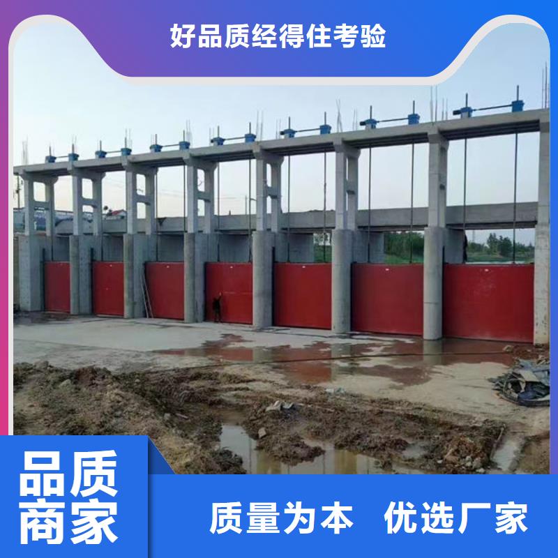 鑄鐵閘門機(jī)閘一體式鑄鐵閘門品種全