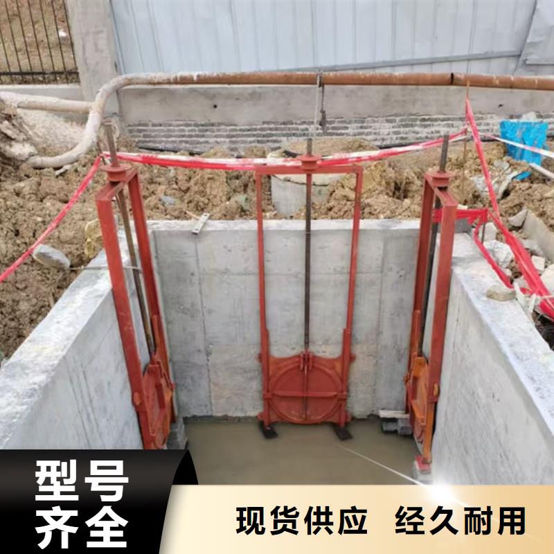 鑲銅鑄鐵閘門源頭廠家