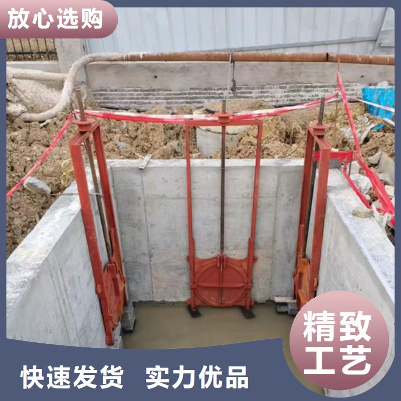 铸铁闸门_河道铸铁闸门诚信为本