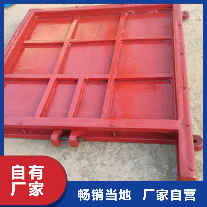 鑄鐵閘門鑄鐵圓閘門專注細(xì)節(jié)使用放心