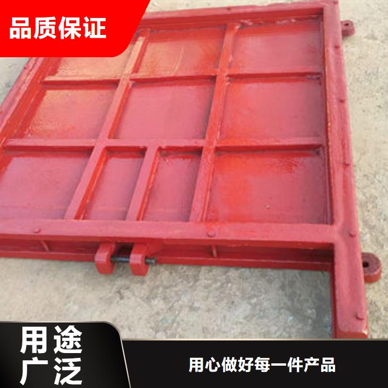 铸铁闸门_水电站铸铁闸门欢迎来电咨询