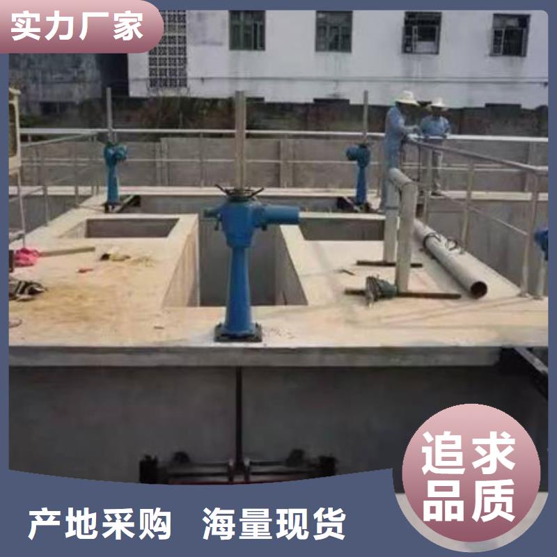 鑄鐵閘門雙向止水閘門來圖定制