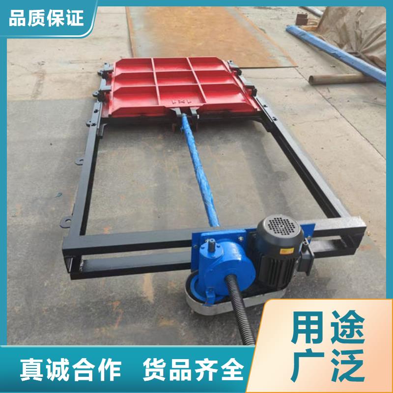 鑄鐵閘門機閘一體式鑄鐵閘門定金鎖價