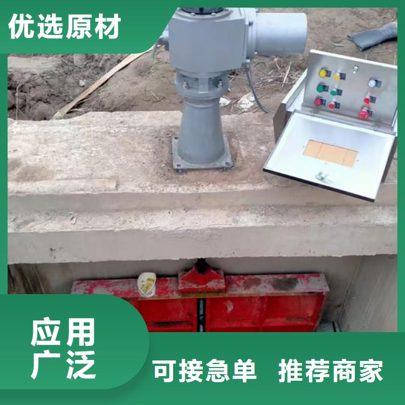 鑄鐵閘門,機(jī)閘一體式鑄鐵閘門一致好評產(chǎn)品