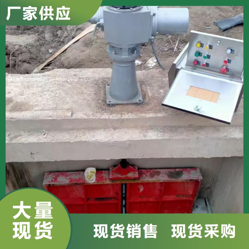 鑄鐵閘門雙向止水閘門來圖定制