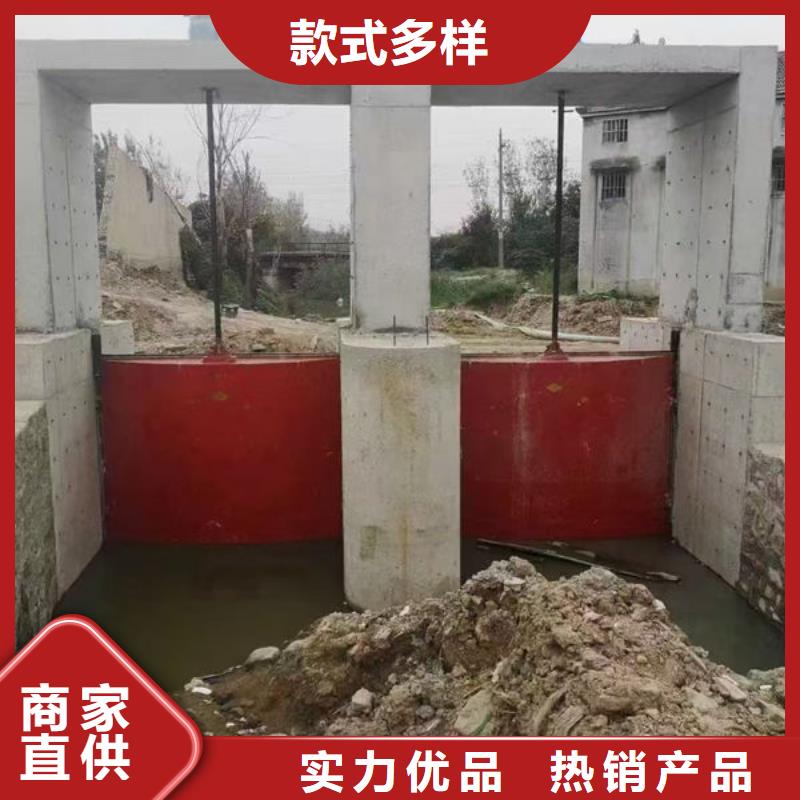 鑄鐵閘門,手提鑄鐵閘門價(jià)格公道合理