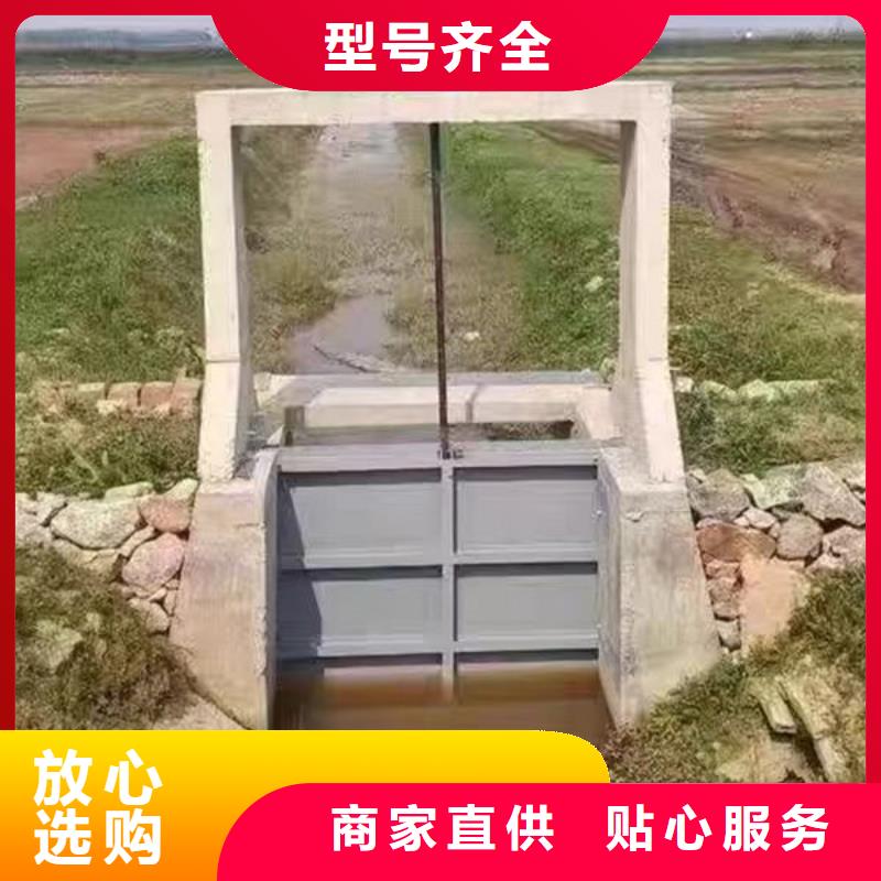 铸铁闸门_镶铜铸铁闸门快速发货