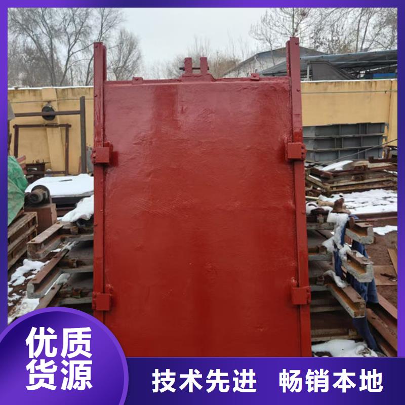 鑄鐵閘門-一體式閘門量大更優(yōu)惠