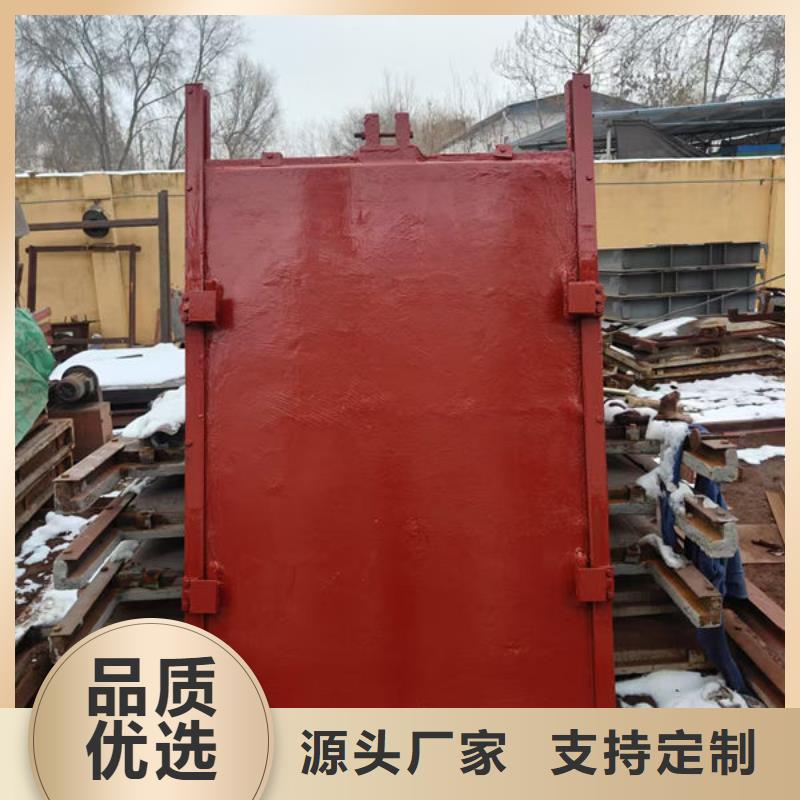 鑄鐵閘門,水庫鑄鐵閘門實力工廠