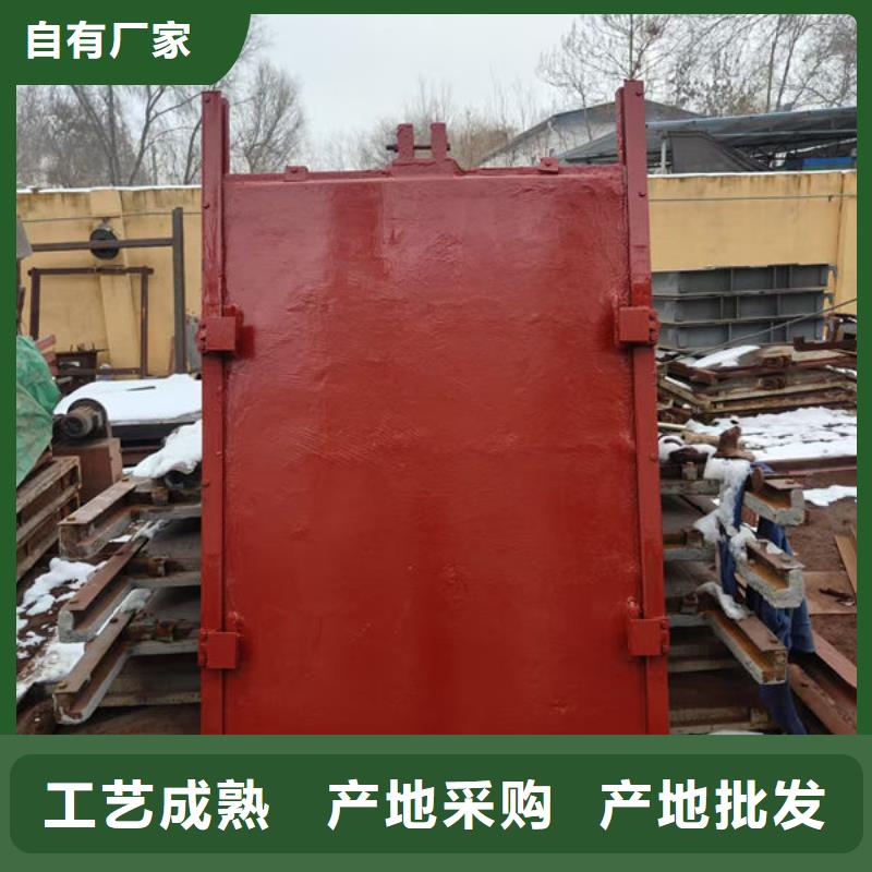 鑄鐵閘門,鑲銅鑄鐵閘門工藝精細(xì)質(zhì)保長久