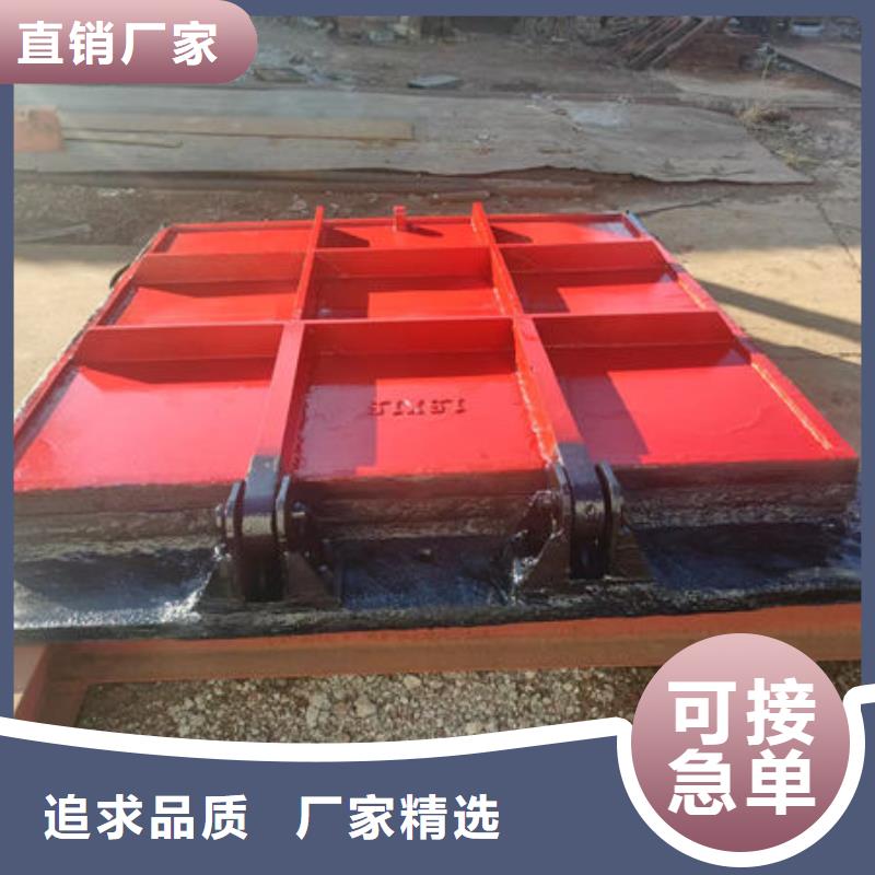 機(jī)閘一體式鑄鐵閘門工廠直銷