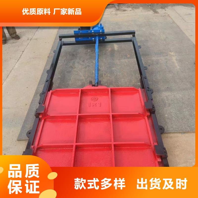 鑄鐵閘門機(jī)閘一體式鑄鐵閘門品種全