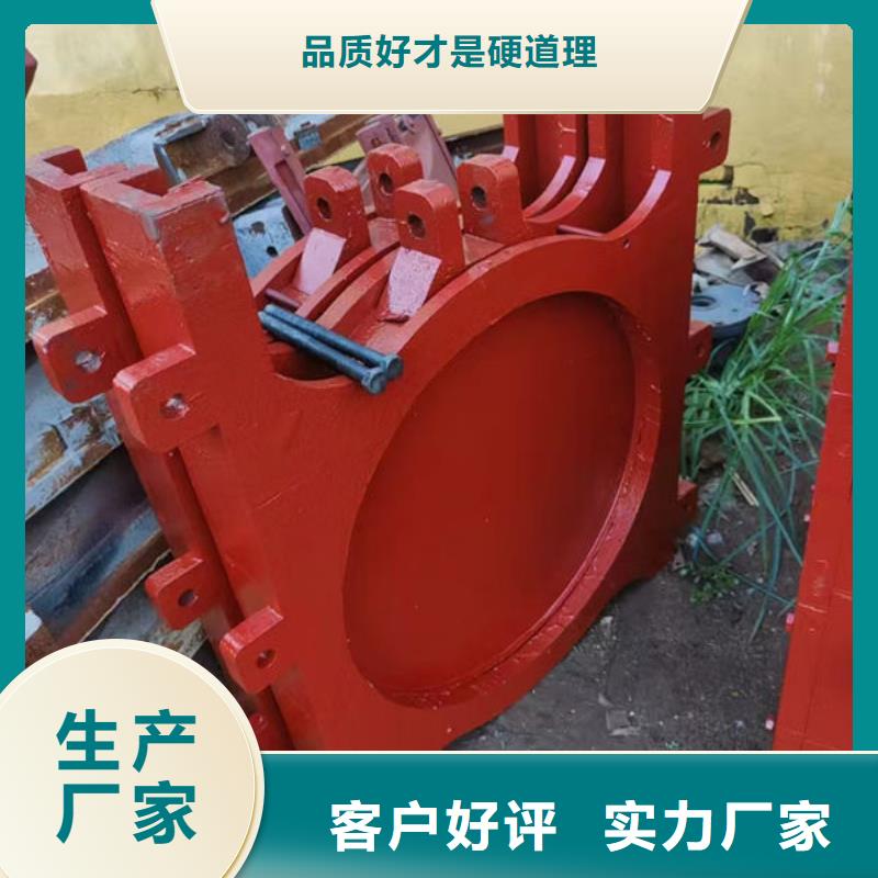 鑄鐵閘門,復(fù)合閘門質(zhì)保一年