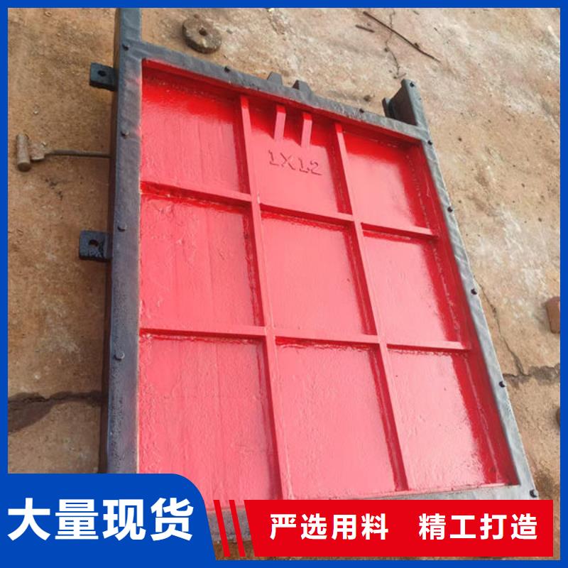 鑄鐵閘門雙向止水閘門來圖定制