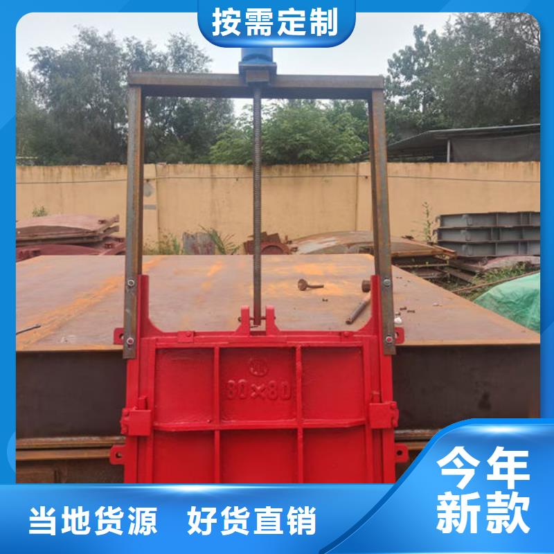 鑄鐵閘門-鑲銅鑄鐵閘門講信譽(yù)保質(zhì)量