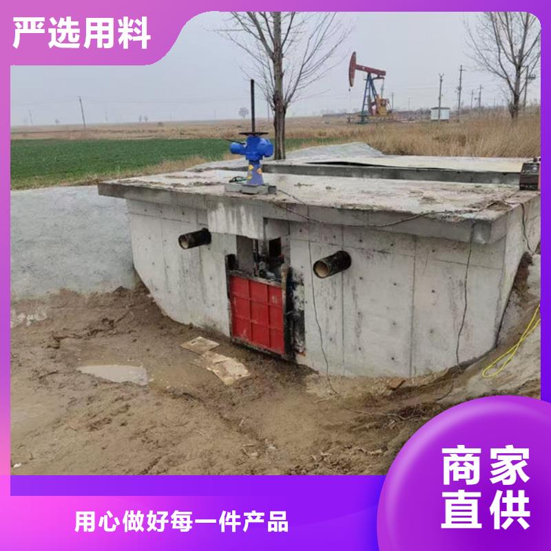 鑄鐵閘門鑲銅鑄鐵閘門好貨有保障