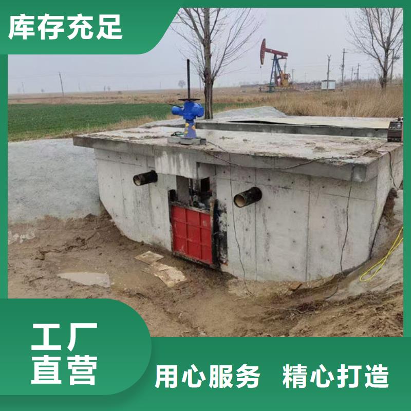 鑄鐵閘門,機(jī)閘一體式鑄鐵閘門一致好評產(chǎn)品